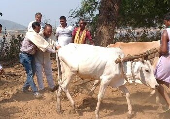 କମଗରାପାଟଣାରେ କୃଷକ ଦିବସ ପାଳିତ : ଏକାଠି ଅକ୍ଷିମୁଠୀ ଅନୁକୂଳ କଲେ ମନ୍ତ୍ରୀ ଏବଂ ଜିଲ୍ଲାପାଳ – ଢେଙ୍କାନାଳ