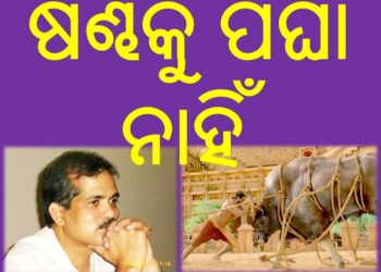 ଷଣ୍ଢକୁ ପଘା ନାହିଁ…???