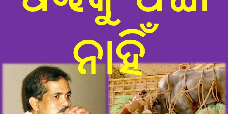 ଷଣ୍ଢକୁ ପଘା ନାହିଁ…???