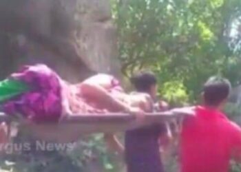 ମୋହନା ବ୍ଲକ ଡମ୍ବଗୁଡ଼ା ପଞ୍ଚାୟତ ଅନ୍ତର୍ଗତ ନିଲଡିକ୍କିଆ ଗ୍ରାମରଜଣେ ମହିଳା ରୋଗୀଙ୍କୁ ୨କି ଲୋମିଟର ଦୋଳାରେ ବୋହି ସ୍ୱାସ୍ଥ୍ୟ କେନ୍ଦ୍ରକୁ ନେଲେ ଗ୍ରାମବାସୀ