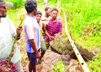 ଉପାନ୍ତ ଅଞ୍ଚଳବାସୀଙ୍କ ଆଉ ଏକ ଉଦାହରଣ : ବାଉଁଶ ନଳୀ ଖଞ୍ଜି ପାହାଡ଼ି ଝରଣାର ପାଣି ଗାଁ ମୁଣ୍ଡକୁ ଆଣିଲେ