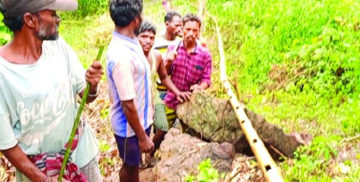ଉପାନ୍ତ ଅଞ୍ଚଳବାସୀଙ୍କ ଆଉ ଏକ ଉଦାହରଣ : ବାଉଁଶ ନଳୀ ଖଞ୍ଜି ପାହାଡ଼ି ଝରଣାର ପାଣି ଗାଁ ମୁଣ୍ଡକୁ ଆଣିଲେ