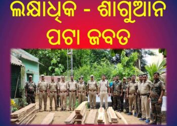 ବେରୁଆଁବାରୀ ଗ୍ରାମ ଓ ବାଲିସିଂଶା ରେ ବନବିଭାଗର ଚଢ଼ାଉ – ଲକ୍ଷାଧିକ ଶାଗୁଆନ ପଟା ଜବତ