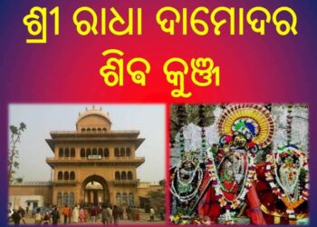 ଶ୍ରୀ ରାଧା ଦାମୋଦର ଶିଵ କୁଞ୍ଜ : ଶ୍ରୀଧାମ ବୃନ୍ଦାବନ – ଉତ୍ତର ପ୍ରଦେଶ