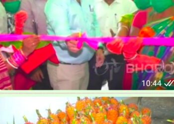ସପୁରୀ ପ୍ରକ୍ରିୟାକରଣ କେନ୍ଦ୍ର ଆଦିବାସୀଙ୍କୁ ଦେଇଛି ନୂଆ ପରିଚୟ, ମଜବୁତ ହେଉଛି ଆର୍ଥିକ ସ୍ଥିତି ଦେଶର ବିଭିନ୍ନ ସ୍ଥାନ ସମେତ ବିଦେଶରେ ଲୋକ ଚାଖିବେ ଗଜପତି ସପୁରିର ସ୍ଵାଦ