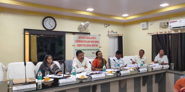 ଜିଲ୍ଲା ଉନ୍ନୟନ ସମନ୍ୱୟ କମିଟି ବୈଠକ