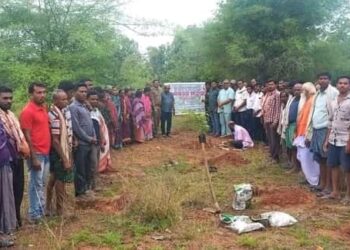 ବନ ମହୋତ୍ସବ ରେ ବୃକ୍ଷ ରୋପଣ