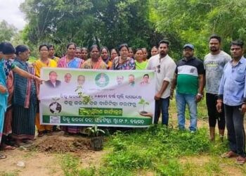 ବୃକ୍ଷ ରୋପଣ କାର୍ଯ୍ୟକ୍ରମ