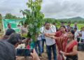 ୭୩ ତମ ବନ ମହୋତ୍ସବ ରେ ବୃକ୍ଷ ରୋପଣ କଲେ ପ୍ରଶାସକ ଏବଂ ଲୋକ ପ୍ରତିନିଧି