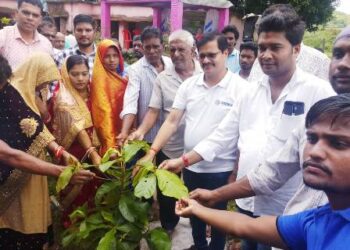 ବନ ମହୋତ୍ସବ ରେ ଯୋଗଦେଇ ବୃକ୍ଷରୋପଣ କଲେ ଦଶପଲ୍ଲା ବିଧାୟକ