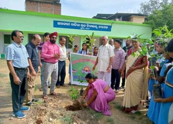ଭଗବାନ ମିଶ୍ର ସ୍ମୃତି ସମିତି ପକ୍ଷରୁ ବୃକ୍ଷ ରୋପଣ କାର୍ଯ୍ୟକ୍ରମ