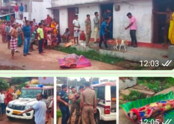 ମୋହନା ହିଲଟପସ୍ନାତକ ମହାବିଦ୍ୟାଳୟ : ଆଦିବାସୀ ଛାତ୍ରୀନିବାସ ପାଲଟିଛି ଭୂତକୋଠି – ସରିସୃପଙ୍କ ଆଡାସ୍ଥଳୀ, ୧ କୋଟି ଟଙ୍କାର ବ୍ୟୟରେ ନିର୍ମିତ କୋଠା ଛାତରୁ ଗଳୁଛି ପାଣି, କାନ୍ଥ ଫାଟି ଆଁ