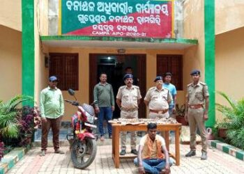 ଫେଲ ମାରିଲା ଯୋଜନା : ଚଢାଉ କରି ବାଘ ଛାଲ ଜବତ କଲା ବନବିଭାଗ , ଜଣେ ବେପାରୀ ଅଟକ