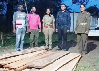 ପଡିଆ ବନବିଭାଗ ଦ୍ୱାରା ୨୦ଟି ମୂଲ୍ୟବାନ ପଟା ଜବତ କରାଯାଇଛି