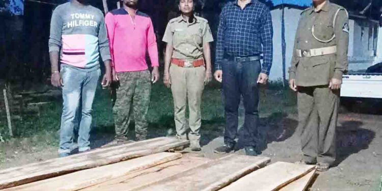 ପଡିଆ ବନବିଭାଗ ଦ୍ୱାରା ୨୦ଟି ମୂଲ୍ୟବାନ ପଟା ଜବତ କରାଯାଇଛି