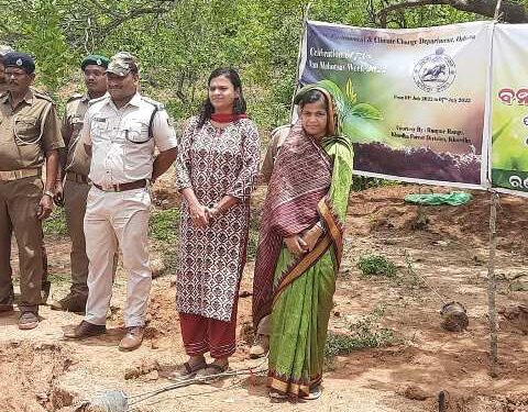 ରଣପୁର ବିଜ୍ଞାପିତ ଅଞ୍ଚଳ ପରିଷଦରେ : ୭୩ ତମ ବନମହୋତ୍ସବ ପାଳିତ