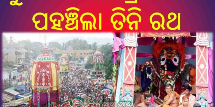 ଗୁଣ୍ଡିଚା ମନ୍ଦିର ପ୍ରାଙ୍ଗଣରେ ପହଞ୍ଚିଲା ତିନି ରଥ : ଆଡପ ମଣ୍ଡପରେ ଭକ୍ତଙ୍କୁ ଦର୍ଶନ ଦେବେ ଶ୍ରୀଜୀଉ
