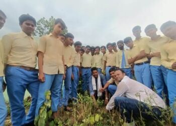 ବାପାନପାଲ୍ଲୀ ଆଦର୍ଶ ବିଦ୍ୟାଳୟରେ ବୃକ୍ଷ ରୋପଣ କାର୍ଯ୍ୟକ୍ରମ ଅନୁଷ୍ଠିତ ହୋଇଯାଇଛି