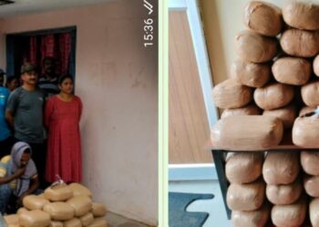 ଗଜପତି ଅବକାରୀ ବିଭାଗର ଚଢ଼ଉ : ରାୟଗଡ଼ ବ୍ଲକର ମାଲବା   ଜାତୀୟ ରାଜପଥରୁ ଏକ କାରରୁ – ୮୪କେଜି ଗଞ୍ଜେଇ ଜବତ ଜଣେ ଗିରଫକାର ଜବତ