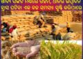 ଖାଦ୍ୟ : ଗହମ ପରେ ଏବେ ଚାଉଳ କରିପାରେ ହଇରାଣ