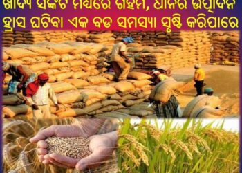 ଖାଦ୍ୟ : ଗହମ ପରେ ଏବେ ଚାଉଳ କରିପାରେ ହଇରାଣ