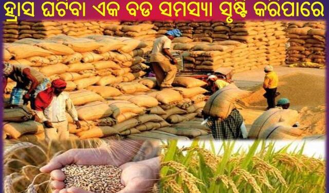 ଖାଦ୍ୟ : ଗହମ ପରେ ଏବେ ଚାଉଳ କରିପାରେ ହଇରାଣ