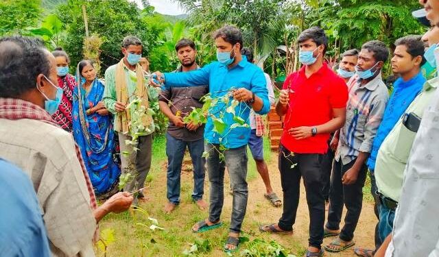 ବ୍ରାହ୍ମଣଦେଇ ପଞ୍ଚାୟତ ସଙ୍ଗଠନ କାର୍ଯ୍ୟାଳୟ ଠାରେ ଆନ୍ତର୍ଜାତୀୟ ଆଳୁ ଗବେଷଣା କେନ୍ଦ୍ର ପକ୍ଷରୁ ତାଲିମ ଶିବିର ଅନୁଷ୍ଠିତ