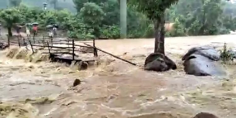 ଲଘୁଚାପ ଜନିତ ବର୍ଷା : କାଲି ପେନୁ ନଦୀ ଉପରେ ଥିବା ଅସ୍ଥାୟୀ କାଠ ପୋଲ ଭାସିଗଲା – ବିରିନ୍ଦାପଡ଼ା ଓ ଗୁଞ୍ଜିବାଡ଼ିକୁ ଯୋଗାଯୋଗ ବିଚ୍ଛିନ୍ନ