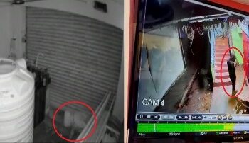 ଗୋଟିଏ ଦିନରେ ୫ ଟି ଦୋକାନ ଚୋରି କରିବାକୁୁ ଉଦ୍ୟମ : ସଟର ଭାଙ୍ଗି ନେଇ ଗଲେ ଟଙ୍କା