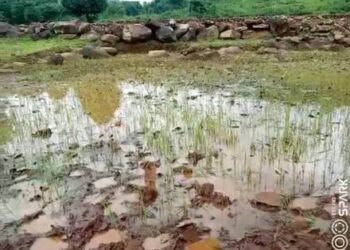 ଜମି ର ସୀମା ନିର୍ଦ୍ଧାରଣ କୁ ନେଇ ଗ୍ରାମବାସୀ ଅସନ୍ତୋଷ ପୁଣି ଥରେ ତହସିଲଦାର ଙ୍କୁ ପ୍ରଦାନ କଲେ ଦାବିପତ୍ର