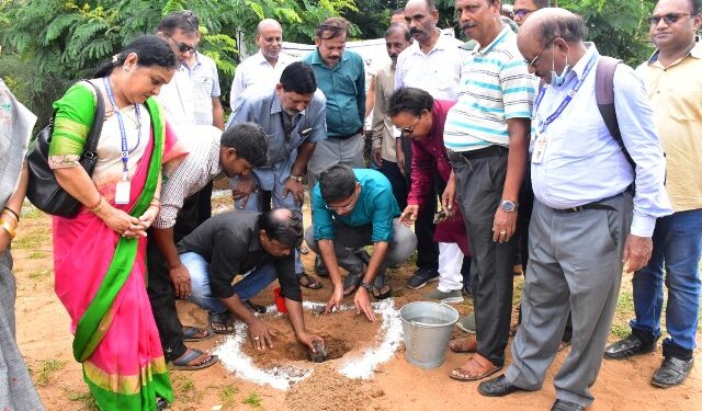 ସ୍ମୃତି ଖୋଜୁଛି ତାଳବଣିଆ: ଲାଗିଲା ୬ହଜାର ତାଳଚାରା