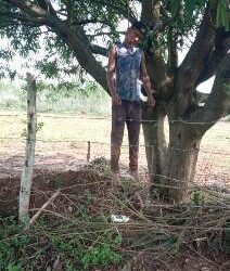 ଗଛରେ ରଶି ଲଗାଇ ଯୁବକ ଆତ୍ମହତ୍ୟା : ପୋଲିସର ତଦନ୍ତ ଜାରୀ କାରଣ ଅସ୍ପଷ୍ଟ