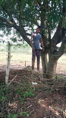 ଗଛରେ ରଶି ଲଗାଇ ଯୁବକ ଆତ୍ମହତ୍ୟା : ପୋଲିସର ତଦନ୍ତ ଜାରୀ କାରଣ ଅସ୍ପଷ୍ଟ