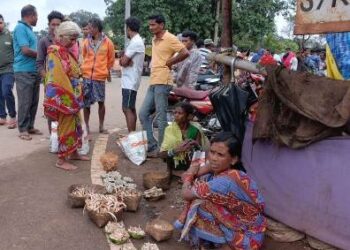 ଶ୍ରାବଣ  ଗଲା ପରେ ମଧ୍ୟ ଶ୍ରାବଣ ଛତୁର ଚାହିଦା ବୈପାରିଗୁଡା ଠାରେ ବଢୁଛି