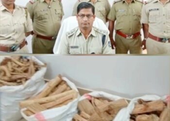 କାଶୀନଗର ପୋଲିସ ମିଳିଛି ବଡ଼ସଫଳତା : କେ.ସୀତାପୁର ଗ୍ରାମରୁ ଦୁଇ ଜଣ ଙ୍କ ଠାରୁ ମୋଟ ୭୭କେଜି ୮୦୦ଗ୍ରାମ ଚନ୍ଦନ କାଠ ଜବତ ୨ଗିରଫ