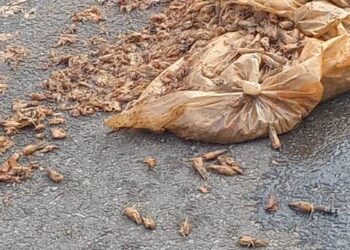 ଜାତୀୟ ରାଜପଥ କଣ ଅଳିଆଗଦା…?