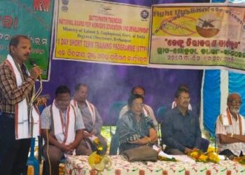 ଡ଼େଙ୍ଗୁ ନିରାକରଣ ନିମନ୍ତେ ସଚେତନତା କର୍ମଶାଳା