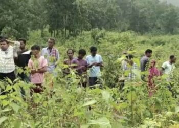ଜଙ୍ଗଲରୁ ମହିଳାଙ୍କ ଗଳିତ ମୃତଦେହ ଉଦ୍ଧାର ; ମଦ ରନ୍ଧାକୁ ବାରଣ କରିବାରୁ ସ୍ତ୍ରୀକୁ ହତ୍ୟା କଲା ସ୍ୱାମୀ