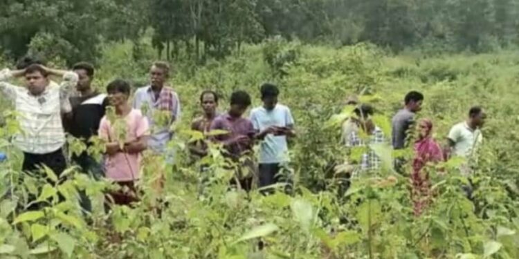 ଜଙ୍ଗଲରୁ ମହିଳାଙ୍କ ଗଳିତ ମୃତଦେହ ଉଦ୍ଧାର ; ମଦ ରନ୍ଧାକୁ ବାରଣ କରିବାରୁ ସ୍ତ୍ରୀକୁ ହତ୍ୟା କଲା ସ୍ୱାମୀ