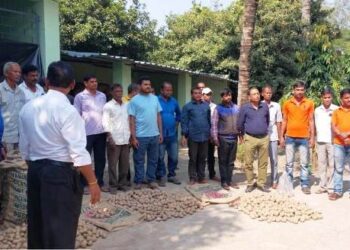 ଭଦ୍ରକରେ ଉଦ୍ୟାନ କୃଷି ନିର୍ଦ୍ଦେଶାଳୟ ପକ୍ଷରୁ ଆଳୁ ବିହନ ବଣ୍ଟନର ଶୁଭାରମ୍ଭ