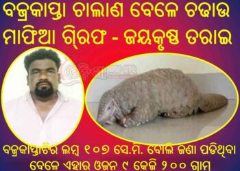 ବ୍ରାହ୍ମଣ୍ଡି ନିକଟରେ ଏକ ବଜ୍ରକାପ୍ତା ଚାଲାଣ କରାଯାଉଥିବା ବେଳେ ଚଢାଉ : ଜଣେ ମାଫିଆ ଗି୍ରଫ – ଜୟକୃଷ୍ଣ ତରାଇ
