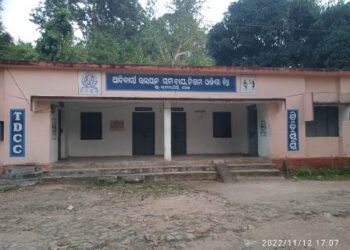 ମହିଳା ଏସ. ଏଚ. ଜି କୁ ଢାଳକରି ଟି ଡି ସି ସି ଶାଖା ପରିଚାଳକ ଲୁଟୁଛନ୍ତି ସରକାରୀ ଟଙ୍କା