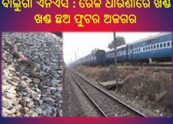 ବାଲୁଗାଁ ଏନଏସି ଅନ୍ତର୍ଗତ : ରେଳ ଧାରଣାରେ ଖଣ୍ଡ ଖଣ୍ଡ ଛଅ ଫୁଟର ଅଜଗର