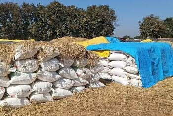 ବେପାରୀଙ୍କ ବେଆଇନ ଧାନ ଜବତ – ମଣ୍ଡିରୁ ଉଠୁ ନାହିଁ ଧାନ