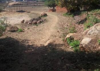 ପାଡ୍ରା ସାହିର ରାସ୍ତା ମରାମତି ପ୍ରଶାସନ ଅଣଦେଖା କରୁଛନ୍ତି ଓ ଗ୍ରାମବାସୀଙ୍କୁ ଭୁଆଁ ବୁଲାଉଛିନ୍ତି