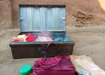 କଳାହାଣ୍ଡି : ରାତି ଅଧରେ ଭୀମକେଲା ଗାଁରୁ ଚୋରି