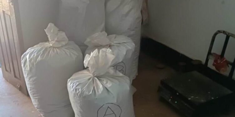 ପୋଲିସ ପକ୍ଷରୁ ଗଛିତ ଥିବା ବିଫୁଳ ପରିମାଣର ଗଞ୍ଜେଇ ଜବତ