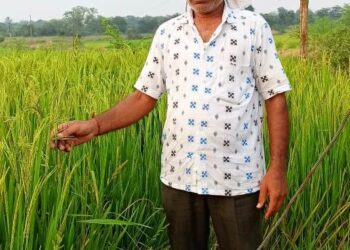 ଗଞ୍ଜେଇ ଚାଷ ପାଇଁ ଅନୁମତି ମାଗିଲେ ଚାଷୀ ପଞ୍ଜିକୃତ ଜମିର ଧାନ ବିକ୍ରି ହେଲା ନାହିଁ : ଆତ୍ମହତ୍ୟା ଧମକ ଦେଲେ