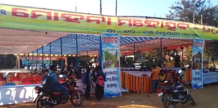 ମୋହନା ରେ ଆଡମ୍ବର ମୋହତ୍ସବ ପାଳିତ