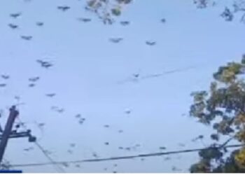 ପ୍ରଚଣ୍ଡ ଶବ୍ଦରେ ଥରିଲା ଘର, କବାଟ ଓ ଝରକା ,ବାଲେଶ୍ୱର ଓ ରବାରିପଦା ଆତଙ୍କ